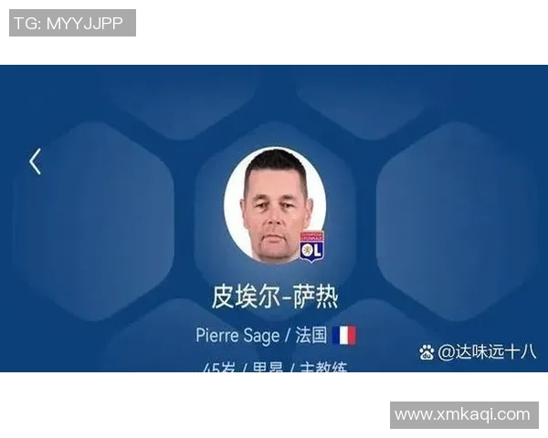 葡萄牙足球队球星身价分析与未来发展趋势探讨