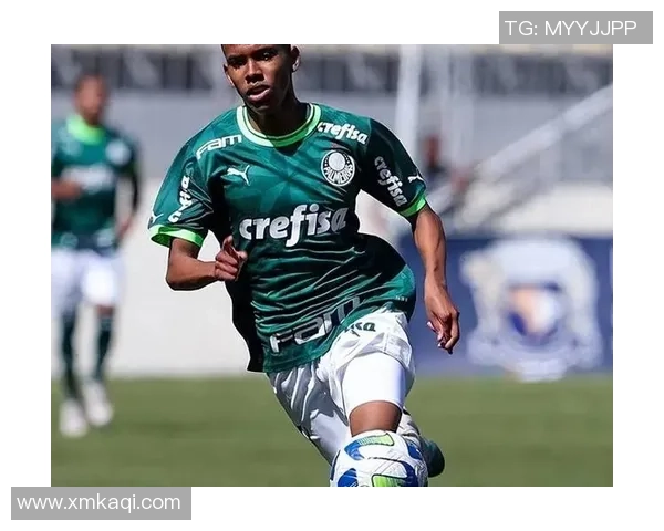 2025年度全球足球球星综合实力最新排名与表现解析